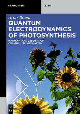 Quantum Electrodynamics of Photosynthesis: Mathematical Description of Light, Life and Matter