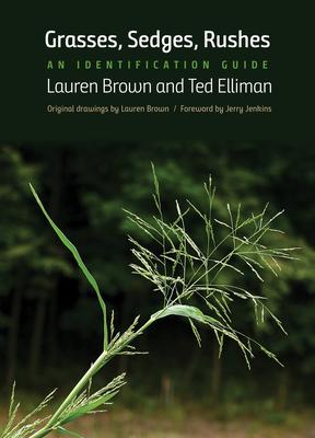 Grasses, Sedges, Rushes: An Identification Guide