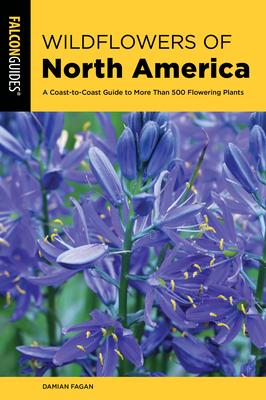 Wildflowers of North America