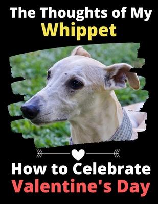 The Thoughts of My Whippet: How to Celebrate Valentine’’s Day