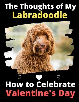 The Thoughts of My Labradoodle: How to Celebrate Valentine’’s Day