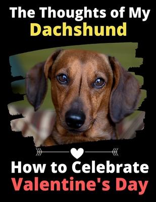 The Thoughts of My Dachshund: How to Celebrate Valentine’’s Day