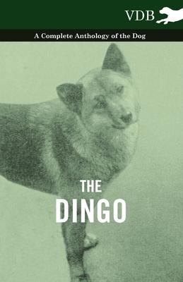 The Dingo - A Complete Anthology of the Dog -