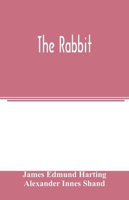 The rabbit