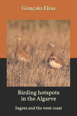 Birding hotspots in the Algarve: Sagres and the west coast