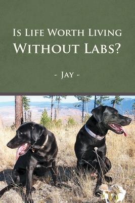 Is Life Worth Living Without Labs?