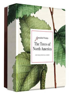 The Trees of North America: A Detailed Notes Notecard Set