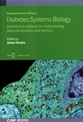 Diabetes Systems Biology: Quantitative Methods for Understanding Beta-Cell Dynamics and Function