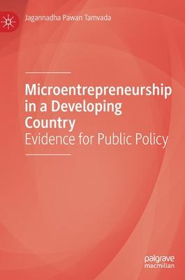 The Economics of Micro-Entrepreneurship in a Developing Country: Implications for Public Policy