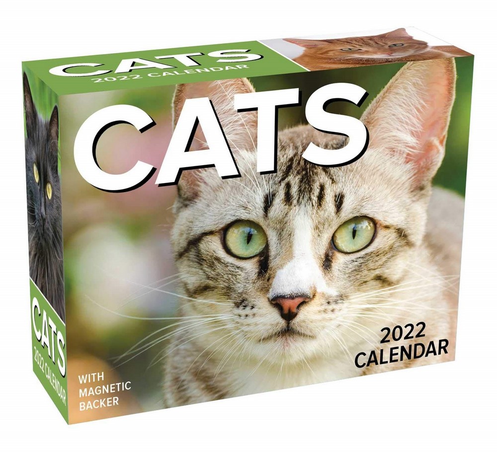 Cats 2022 Mini Day-To-Day Calendar