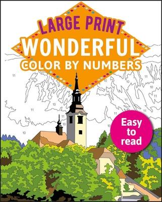 Large Print Color by Numbers Brilliant