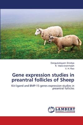 Gene expression studies in preantral follicles of Sheep