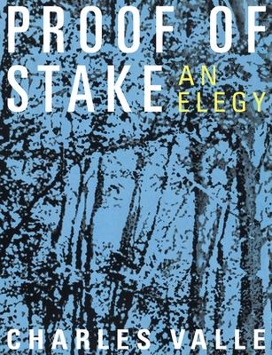 Proof of Stake: An Elegy