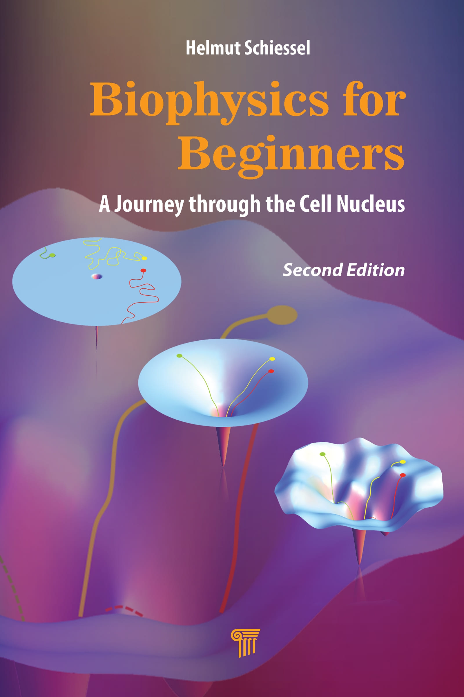 Biophysics for Beginners: A Journey Through the Cell Nucleus