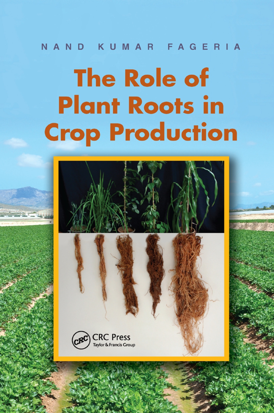 The Role of Plant Roots in Crop Production