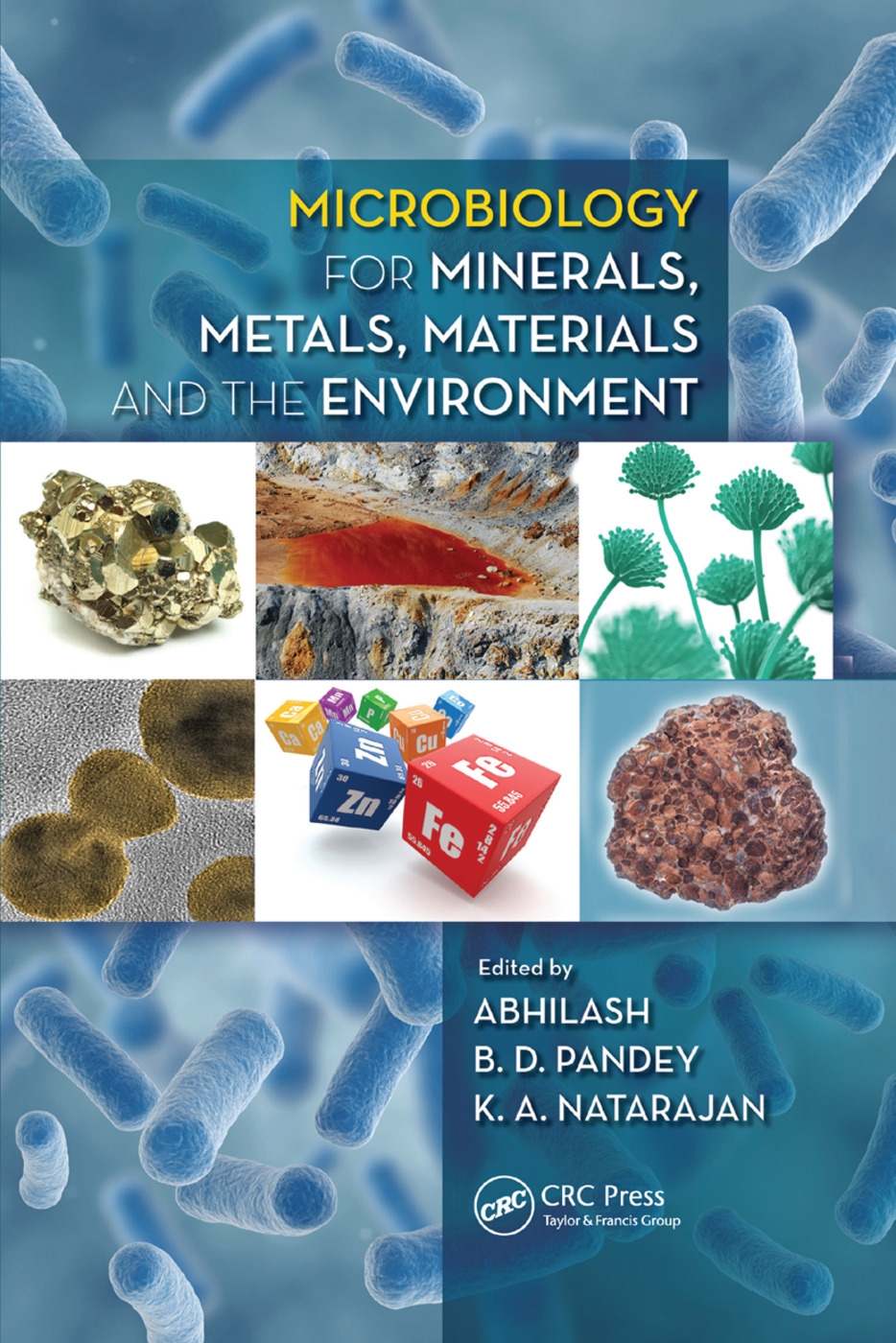 Microbiology for Minerals, Metals, Materials and the Environment