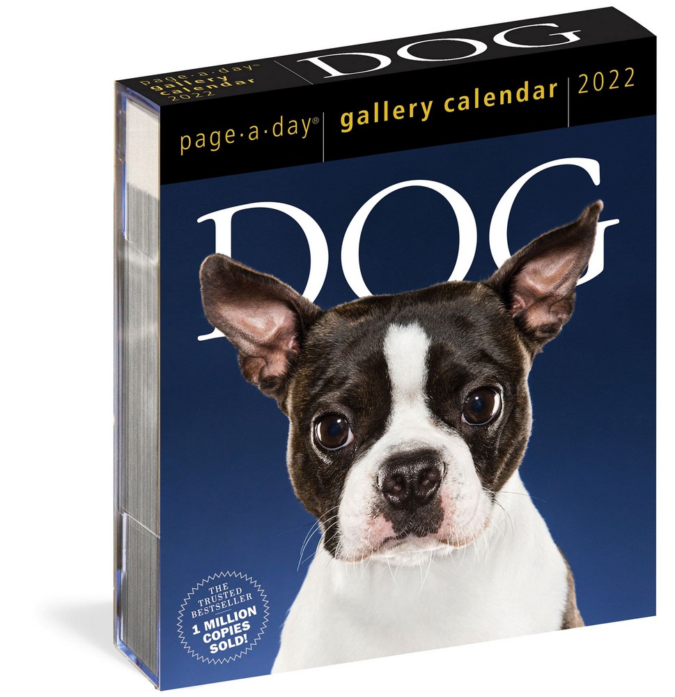 Dog Page-A-Day(r) Gallery Calendar 2022