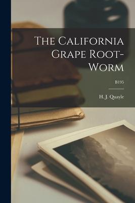 The California Grape Root-worm; B195