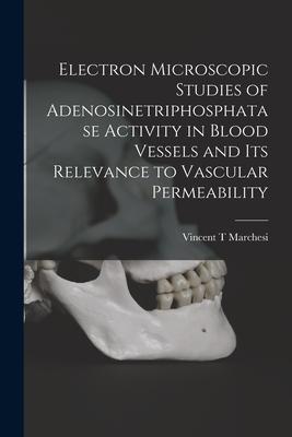 Electron Microscopic Studies of Adenosinetriphosphatase Activity in Blood Vessels and Its Relevance to Vascular Permeability