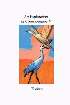 An Exploration of Consciousness V