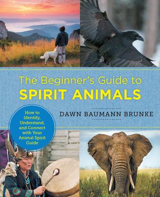 Beginner’s Guide to Spirit Animals: How to Identify, Understand, and Connect with Your Animal Spirit Guide