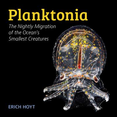 Planktonia: The Nightly Migration of the Ocean’s Smallest Creatures