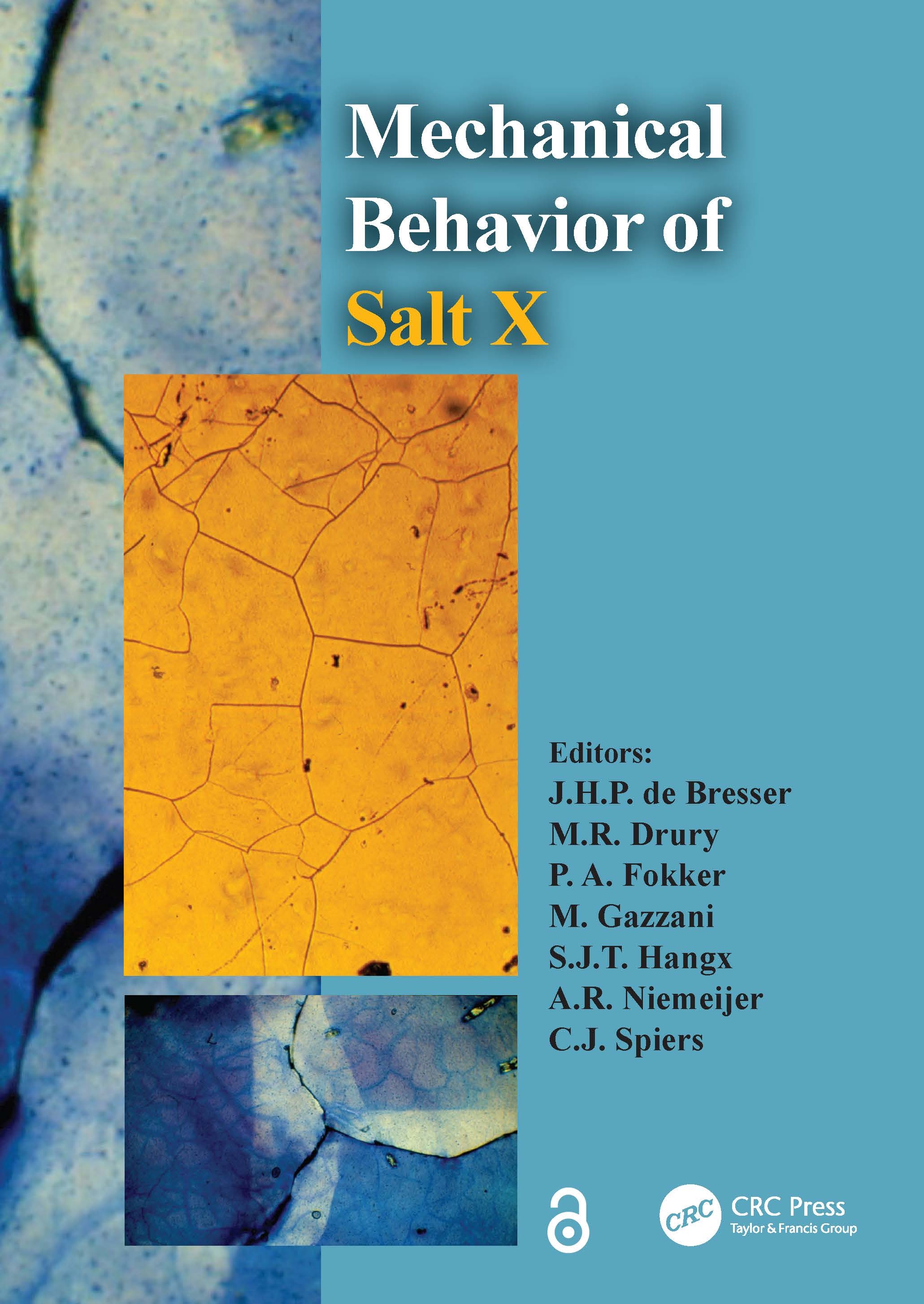 The Mechanical Behavior of Salt X: Proceedings of the 10th Conference on the Mechanical Behavior of Salt (Saltmech X), Utrecht, the Netherlands, 06-08