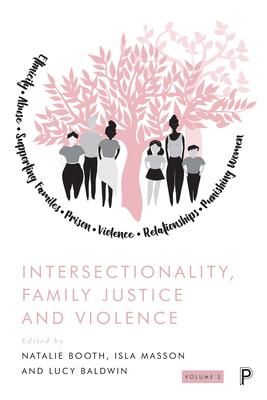 Intersectionality, Family Justice and Violence: Volume 2