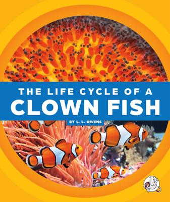 The Life Cycle of a Clown Fish