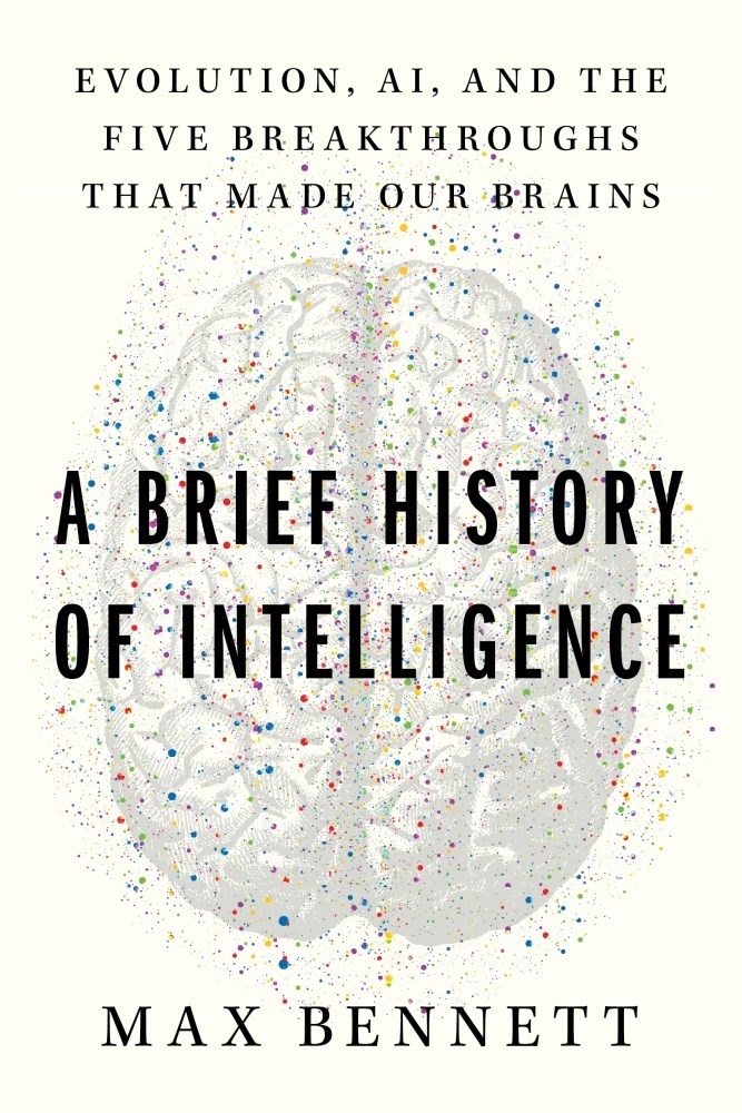 A Brief History of Brains