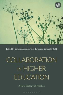 Collaboration in Higher Education