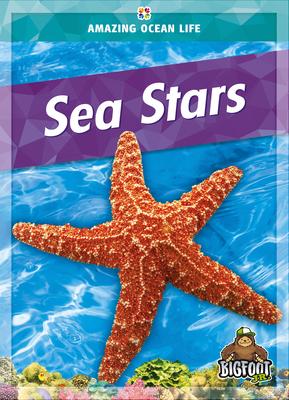 Sea Stars