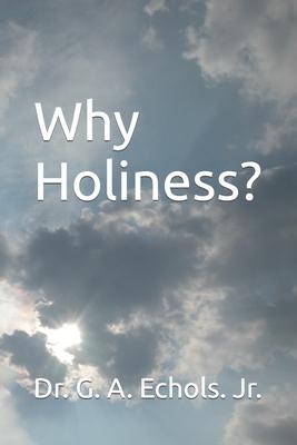 Why Holiness?: Flowing Living Water - Volume 2