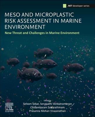 Meso and Microplastic Risk Assessment in Marine Environment: New Threat and Challenges in Marine Environment