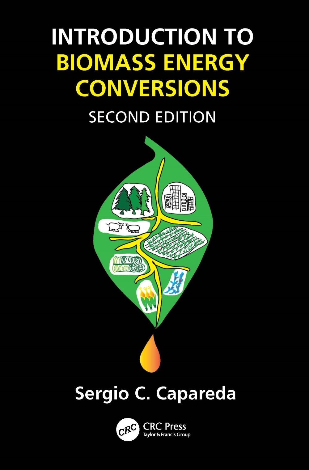 Introduction to Biomass Energy Conversions, Second Edition