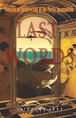 Last Words: Towards an Insurrection of the Poetic Imagination