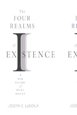 The Four Realms of Existence: A New Theory of Being Human