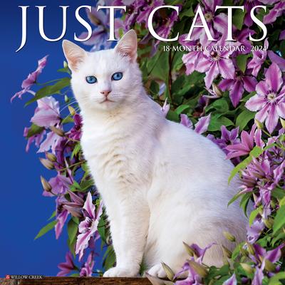 Just Cats 2024 12 X 12 Wall Calendar