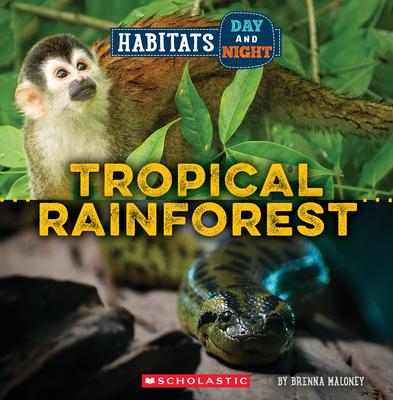 Rainforest (Wild World: Habitats Day and Night)