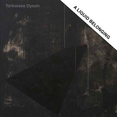 Torkwase Dyson: A Liquid Belonging