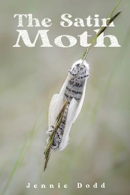 The Satin Moth