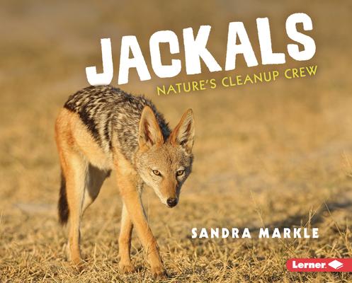 Jackals: Nature’s Cleanup Crew