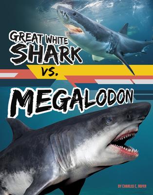 Great White Shark vs. Megalodon