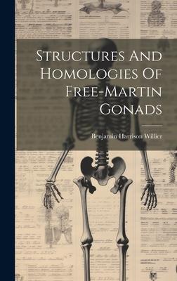 Structures And Homologies Of Free-martin Gonads