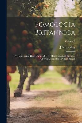 Pomologia Britannica: Or, Figures And Descriptions Of The Most Important Varieties Of Fruit Cultivated In Great Britain; Volume 3