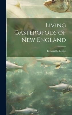 Living Gasteropods of new England