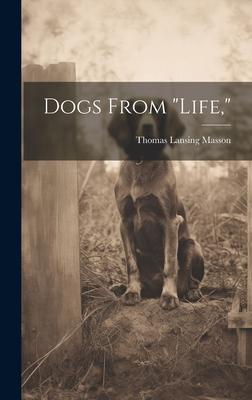 Dogs From life,