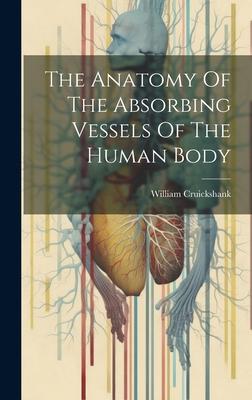 The Anatomy Of The Absorbing Vessels Of The Human Body