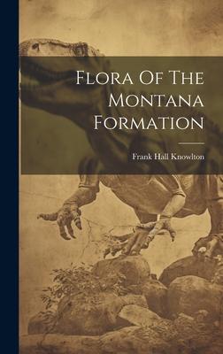 Flora Of The Montana Formation