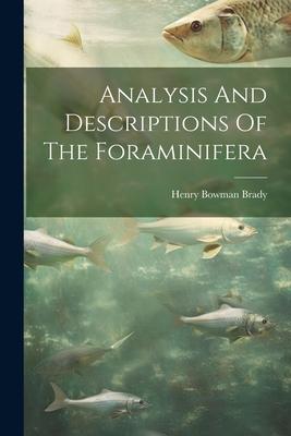 Analysis And Descriptions Of The Foraminifera